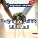 dogumveevlilik